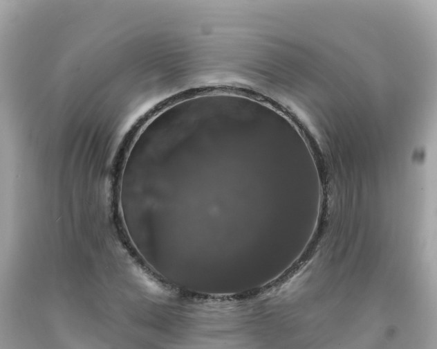 X0000092010975200709131531