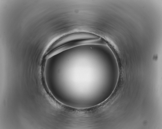 X0000092010976200709131531
