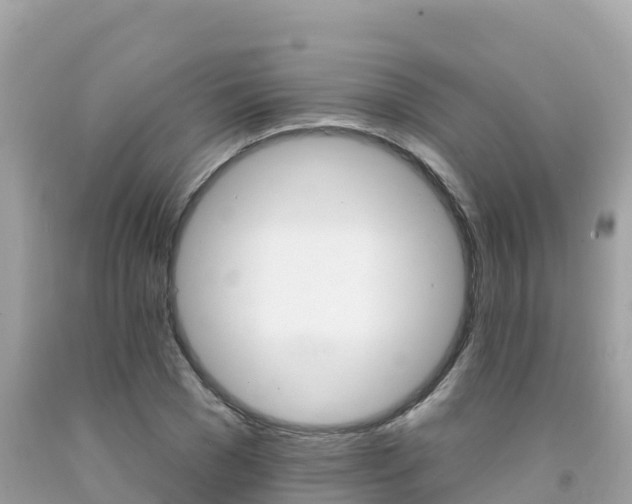 X0000092010977200709131531