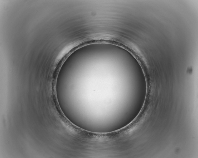 X0000092010978200709131531