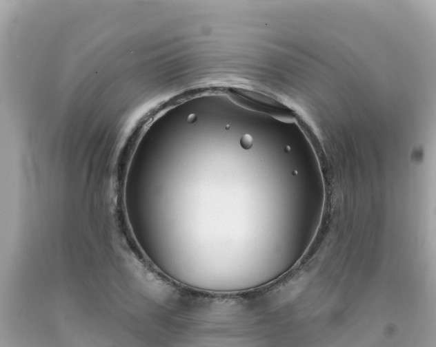 X0000092010979200709131531