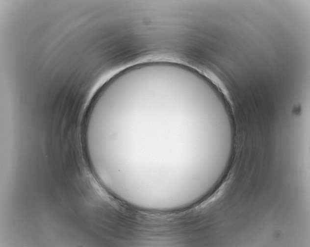 X0000092010981200709131531