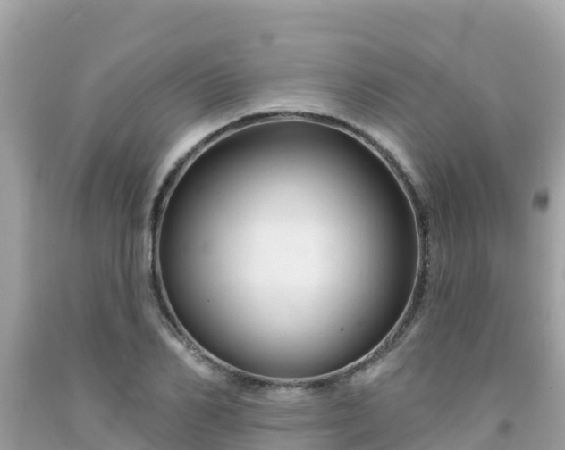 X0000092010982200709131531