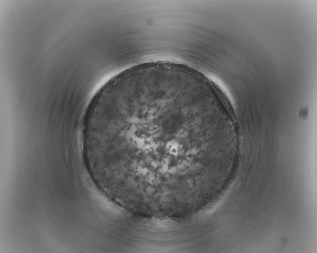 X0000092010983200709131531