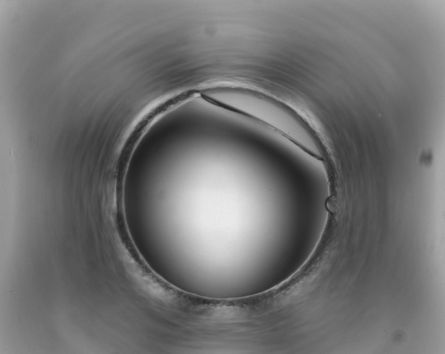 X0000092010984200709131531