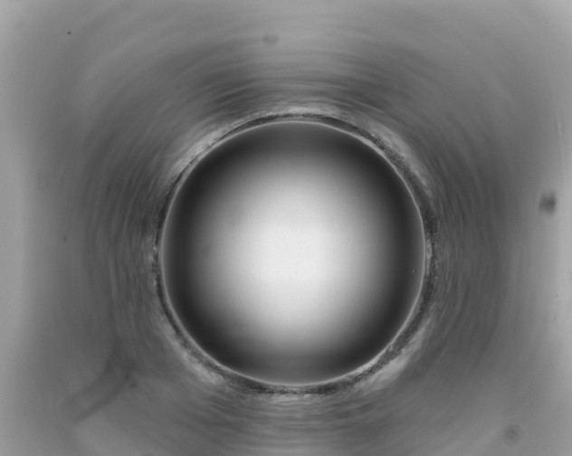 X0000092010985200709131531