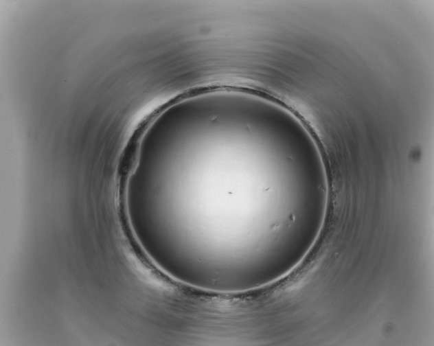 X0000092010987200709131531