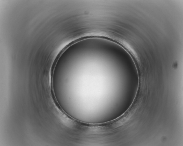 X0000092010988200709131531