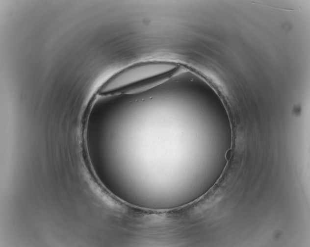 X0000092010990200709131530