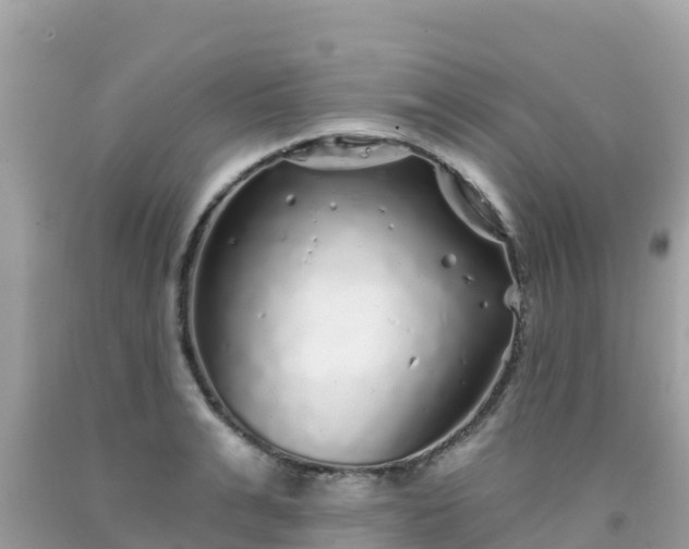 X0000092010991200709131530