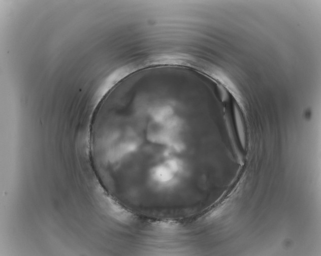 X0000092010994200709131530
