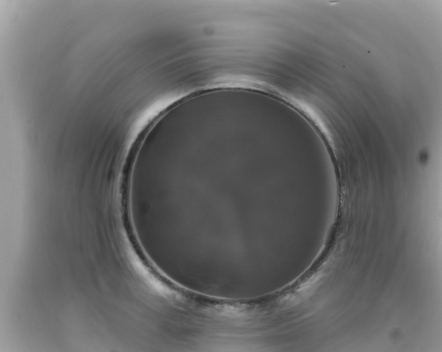 X0000092010995200709131530