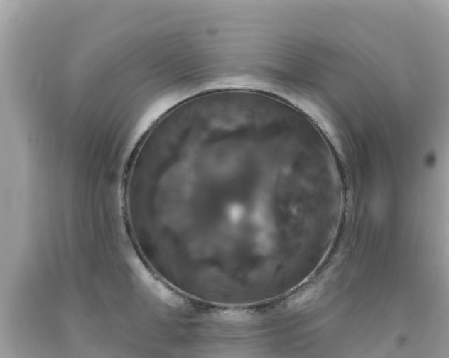 X0000092010998200709131530