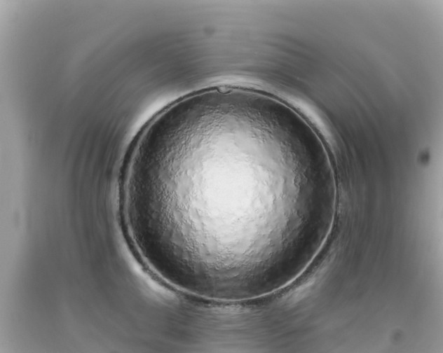X0000092010999200709131530