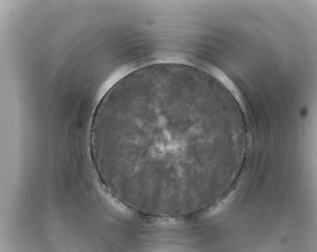 X0000092011002200709131530