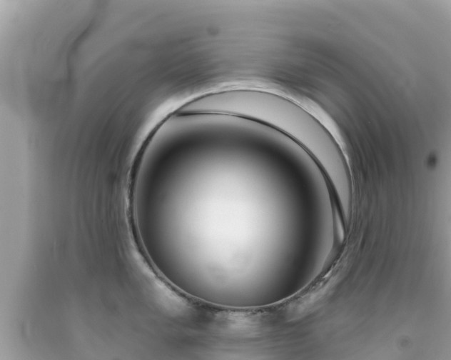 X0000092011005200709131530