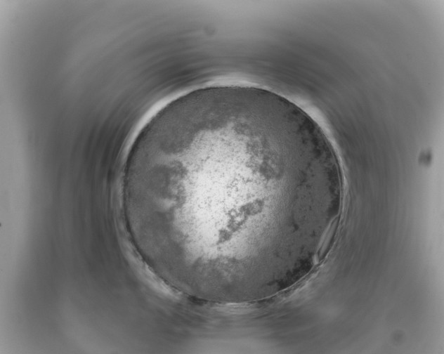 X0000092011008200709131530