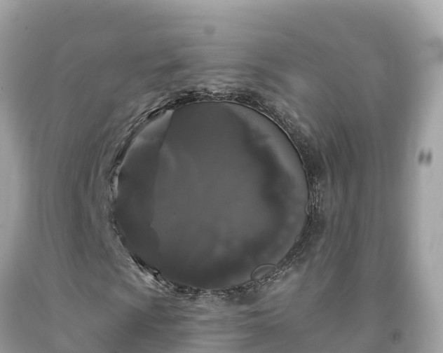 X0000092011009200709131530