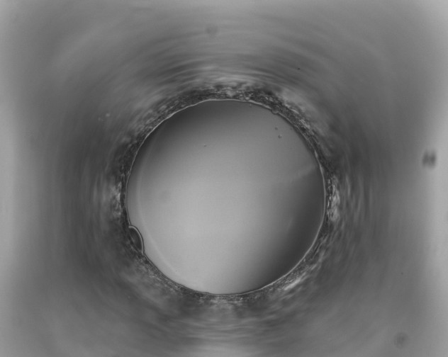 X0000092011013200709131530