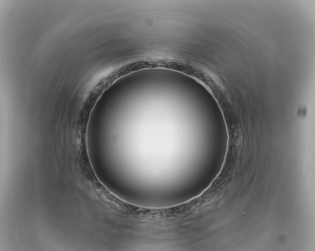X0000092011016200709131530