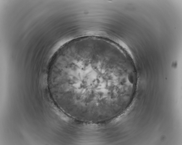 X0000092011019200709131530