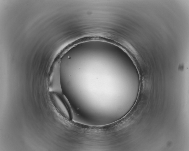 X0000092011020200709131530