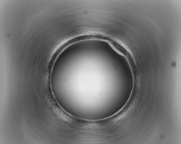 X0000092011021200709131530