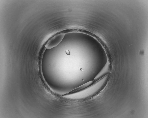 X0000092011022200709131530