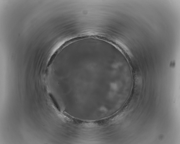 X0000092011023200709131530