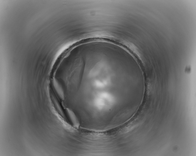 X0000092011024200709131530