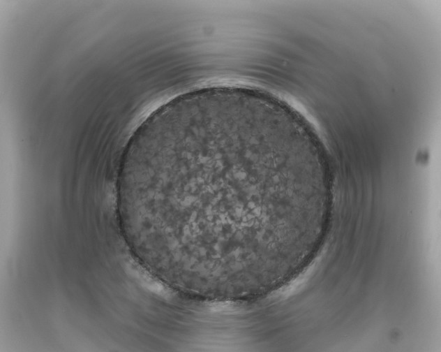 X0000092011025200709131530