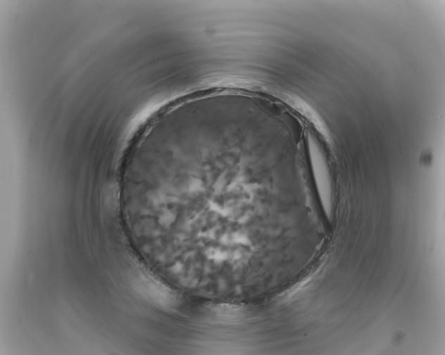 X0000092011027200709131530