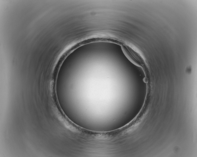 X0000092011029200709131530
