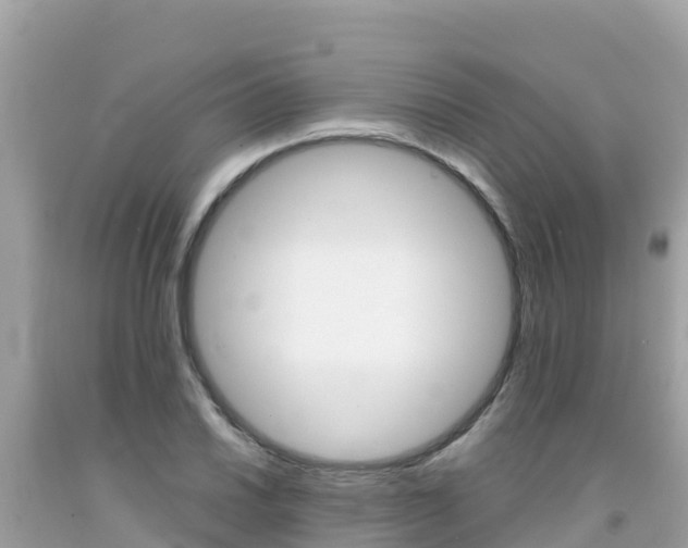 X0000092011030200709131530