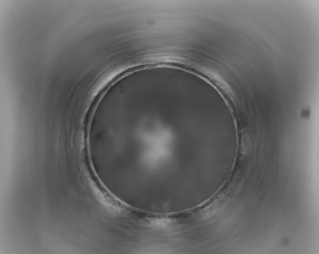 X0000092011031200709131530