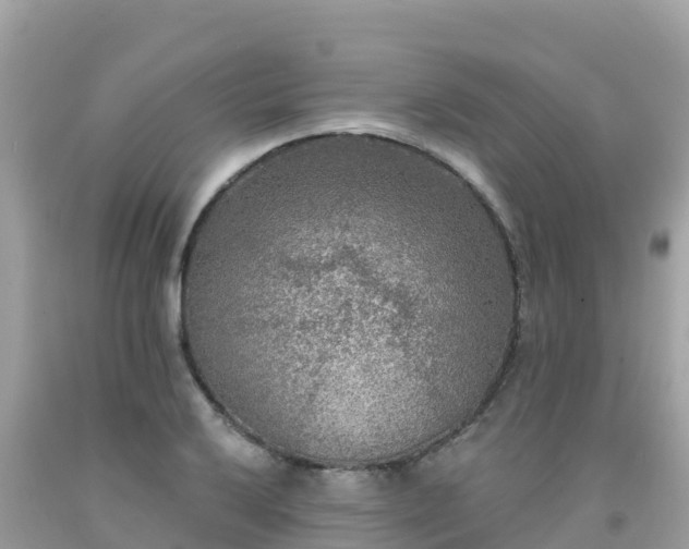 X0000092011032200709131530