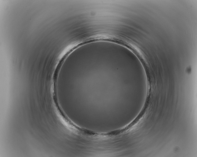 X0000092011034200709131530