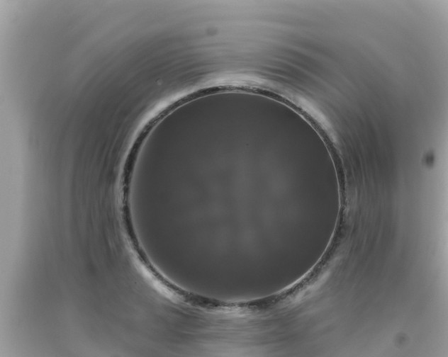 X0000092011037200709131530