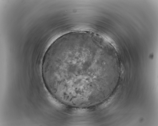 X0000092011039200709131530