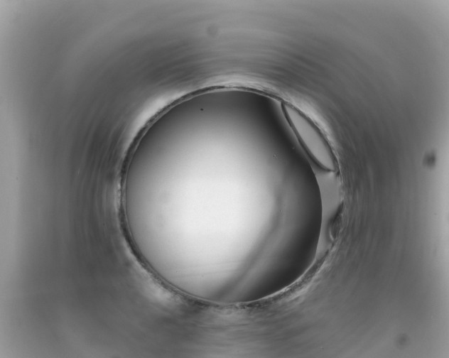 X0000092011040200709131530