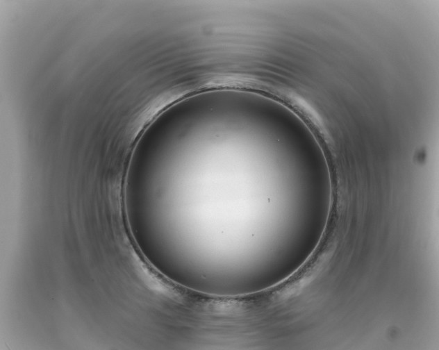 X0000092011041200709131530