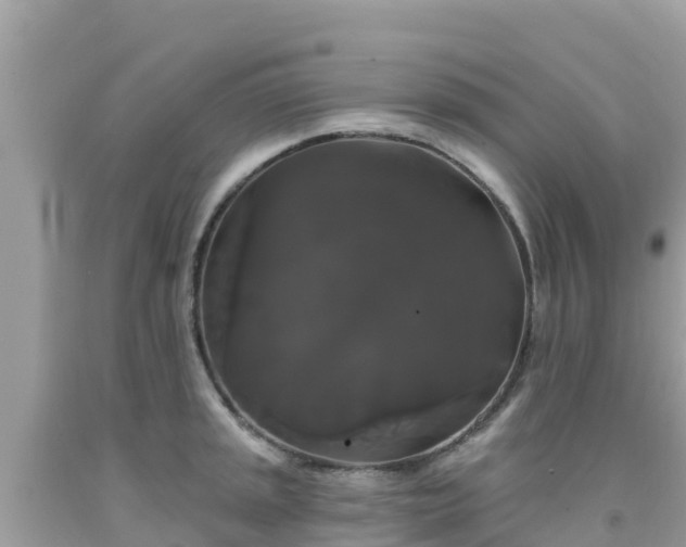 X0000092011045200709131530