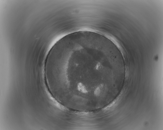 X0000092011048200709131530