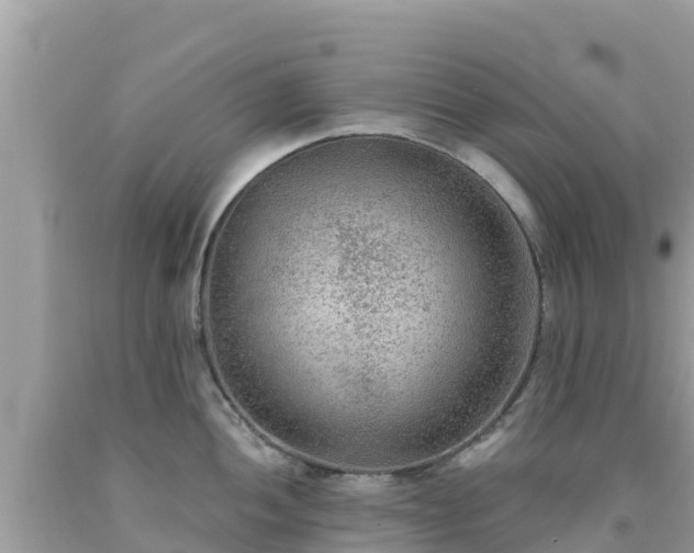 X0000092011052200709131530
