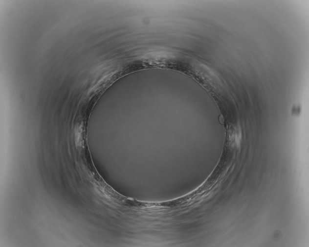 X0000092011060200709131530