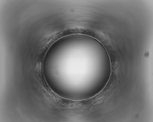 X0000092011061200709131530