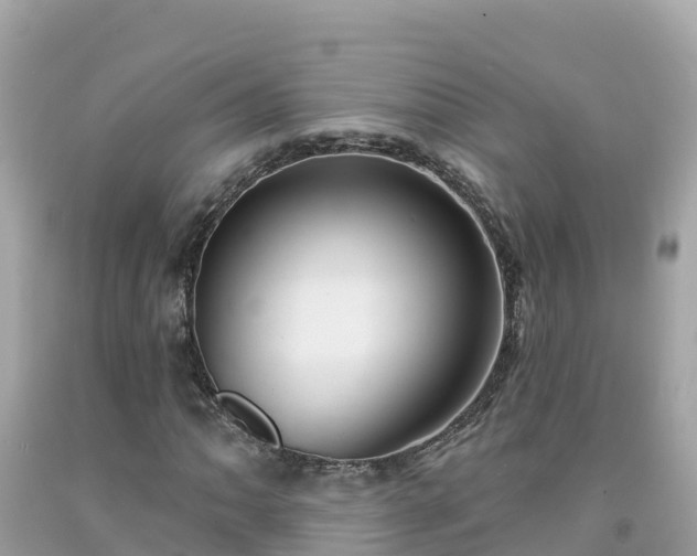 X0000092011062200709131530