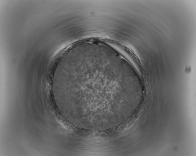 X0000092011064200709131530