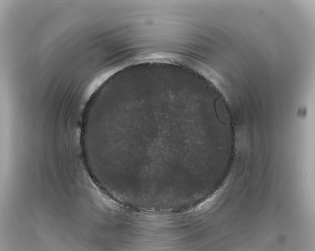 X0000092011066200709131530