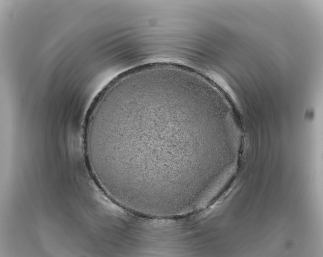 X0000092011068200709131530